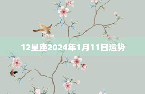 12星座2024年1月11日运势